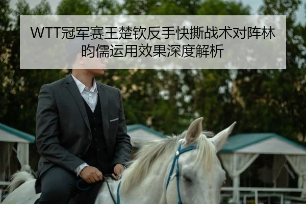 WTT冠军赛王楚钦反手快撕战术对阵林昀儒运用效果深度解析